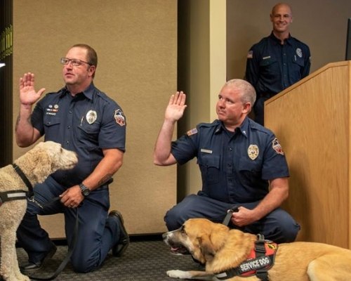 Paramedics placed an oxygen mask specially designed for pets over its snout, and minutes later the dog opened his eyes and was glancing around. (Photo/Screenshot)