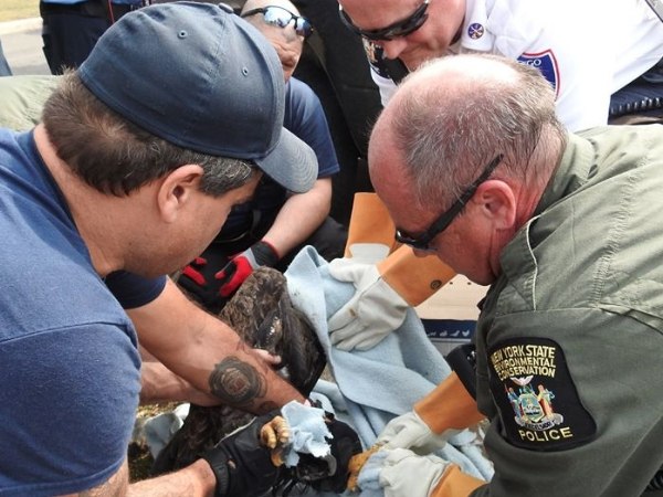 The river rescue was shared more than 120 times within hours of IHeartOswego posting the heroic tale.
