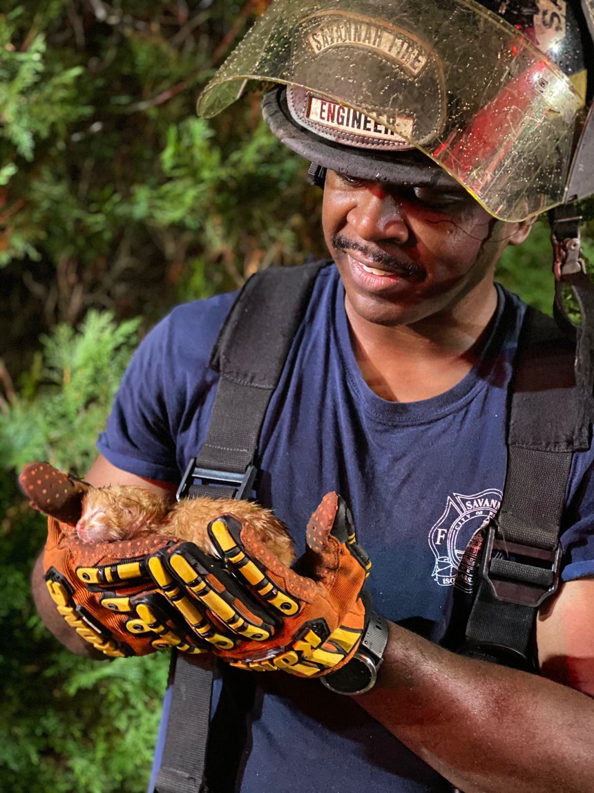 Savannah Fire Engineer Darren Lampley holds a kitten he rescued from a house fire Tuesday. (Photo/Savannah Fire Department)