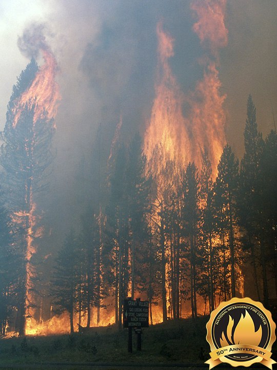 The Yellowstone National Park fires of 1988 burned nearly 800,000 and spurred major changes and improvements to fire safety and fire management principles. (Photo/NIFC)