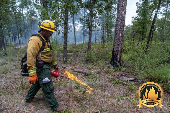 The National Association of State Foresters joined the NIFC in 2000. The association protects the nation's state and private forests, accounting for about two-thirds of all U.S. forests. (Photo/NIFC)