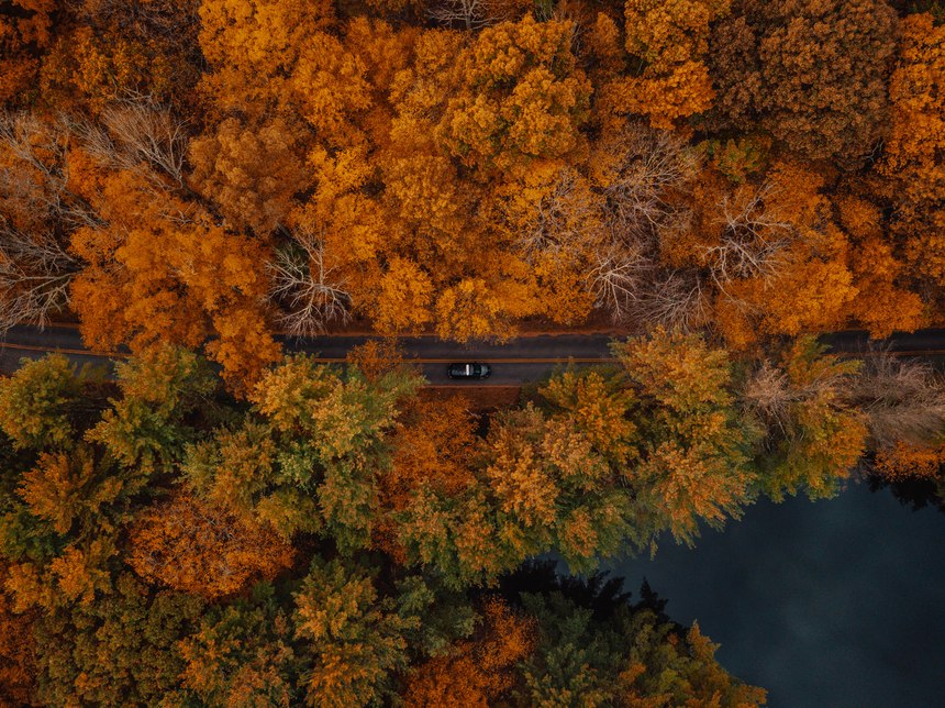 (Photo/James McGraw)