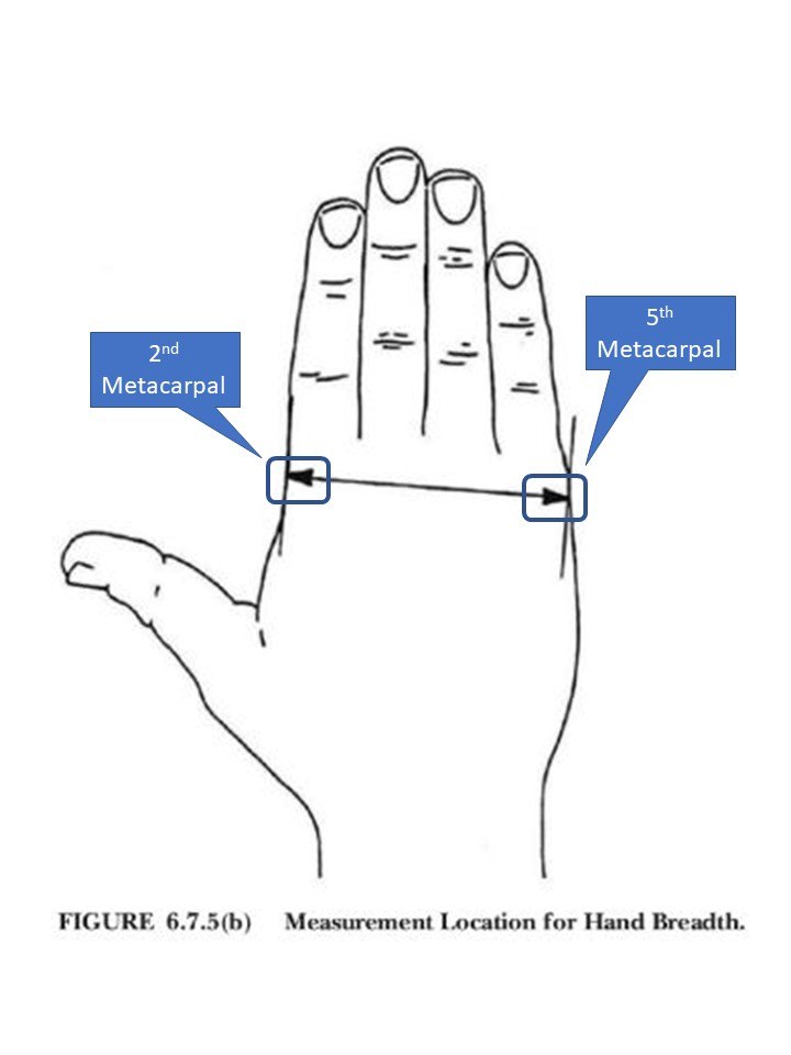 Figure 2: Measure the breadth of the hand to the nearest 1 mm (1/16inch) across the metacarpals (knuckles) on the back of the hand from the second metacarpal to the fifth metacarpal.