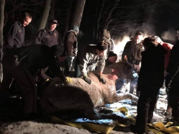While the rescuers struggled with steep terrain, community members joined the mission, bringing blankets, feed and a skid-steer loader.