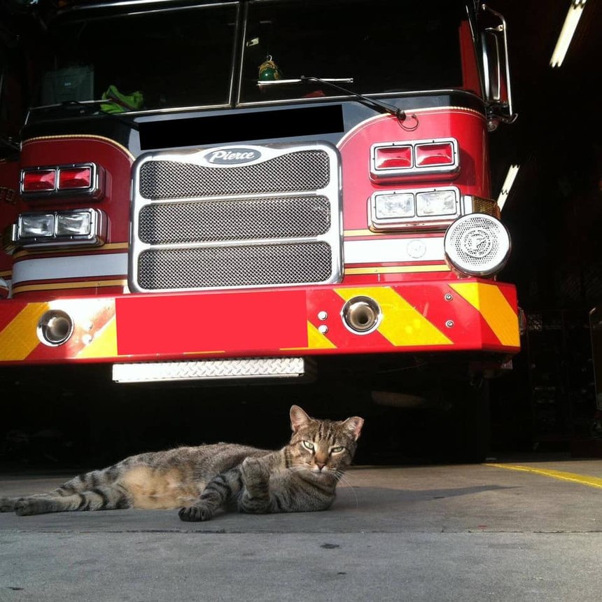 "This is Frankin," Justin Kahle said.