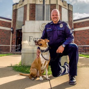 While these dogs may not fit preconceived notions of what a K9 should look like, they have a wide set of skills. (Photo/Animal Farm Foundation)