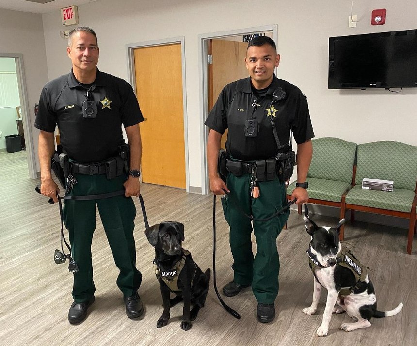 Pasco County is one of the first law enforcement agencies in the nation to use therapy dogs to work specifically with the mental health community.