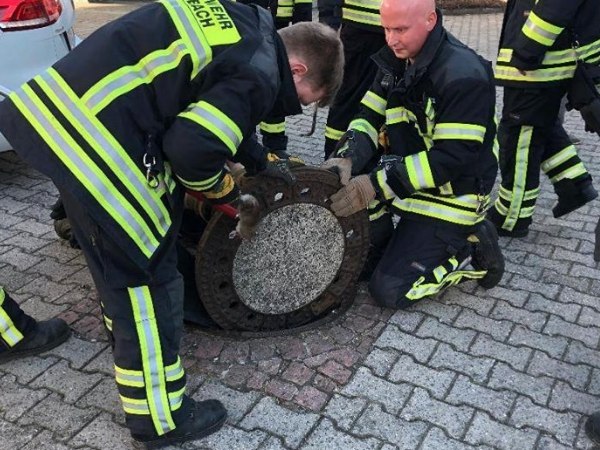 Some questioned why firefighters and the rescue group put so much effort into the rescuing of an animal that is usually exterminated.