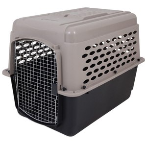 Protect your dog in transit with a sturdy kennel designed for safe, secure transport.