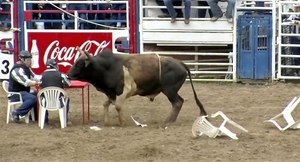 The crowd favorite is the convict poker event in which four inmate cowboys sit around a table in the middle of the arena to play poker and a bull is released.