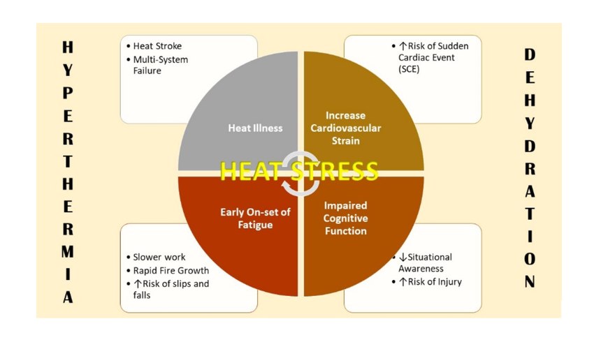 Figure 1. Hyperthermia and dehydration – aka, the "terrible twins" of firefighter heat stress – can cause myriad physiological and behavioral problems for firefighters.