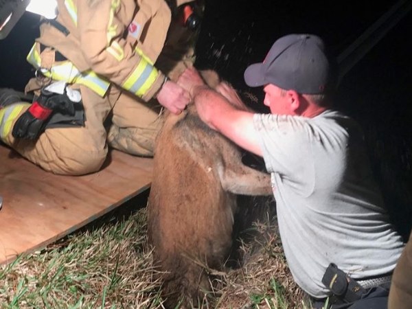Micky, who is doing well, later visited the crew at Station 42 to show his appreciation!