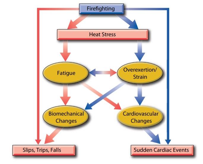 Figure 1. Image Source: Firefighter Fatalities and Injuries: The Role of Heat Stress and PPE. 2008. Firefighter Life Safety Research Center. IFSI. University of Illinois at Urbana-Champaign Illinois.