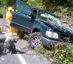 Vehicle Crashes