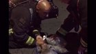 Firefighters rescue and revive dog from house fire