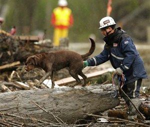 Officials spent nearly five weeks looking for bodies at the site of the March 22 Oso mudslide. On Monday, officials announced they would no longer be actively looking for bodies. The task now switches to clearing debris from the area. A total of 41 bodies have been recovered. Two people remain missing. (AP Photo/Ted S. Warren, File)