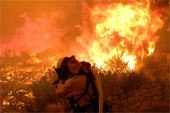 Wildland