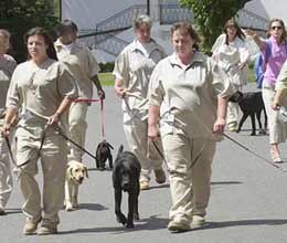 In this AP photo, inmates at the Edna Mahan Correctional Facility for women work as trainers in a program similar to Colorado Correctional Industries’ K-9 Companion Program.
